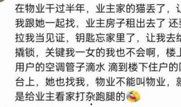 娱乐吃瓜群文案短句图片,短句图片背后的趣味解读